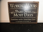 Working hours 9am-5pm most days sometimes earlier, sometimes later